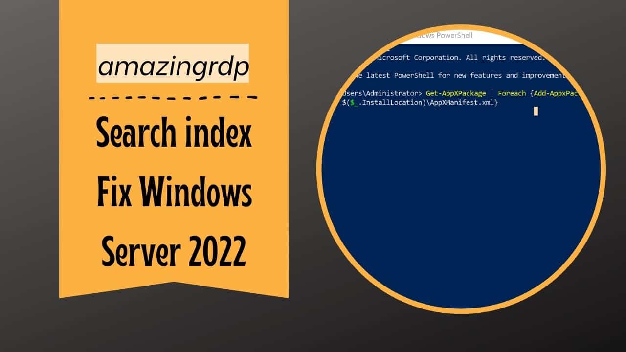 Search index Fix