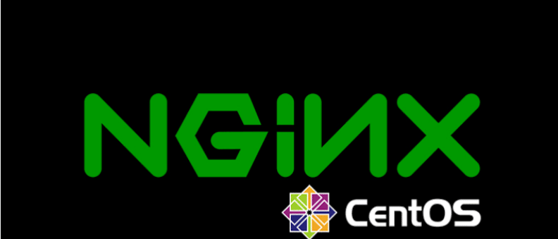 NGINX Server
