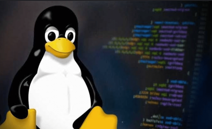 Disk space usage in Linux