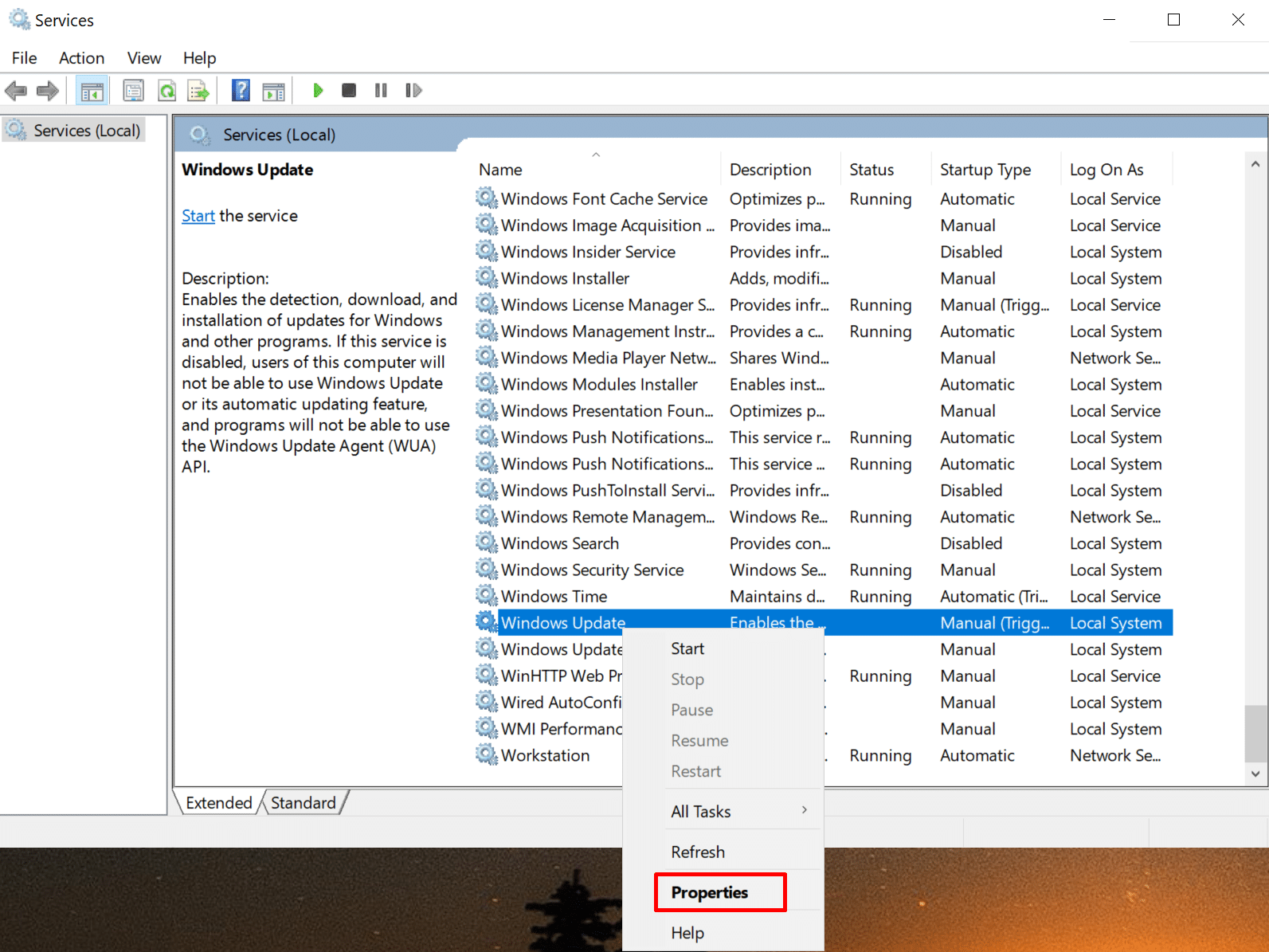 Windows Update service and select Properties