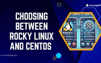 Choosing Between Rocky Linux and CentOS: Which One Suits Your Needs?